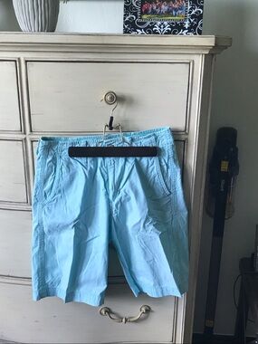 American Eagle Outfitters Light Blue Flat Front Shorts